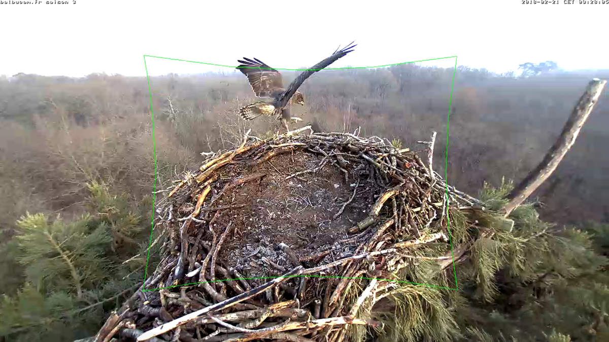 La Saison 3 sur la ligne de départ : à vous de jouer, Balbuzards !