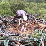 160522 BC 09h29 55 a