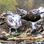 160411-bc-09h20-43-a