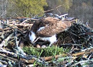 160414-bc-09h31-43-a