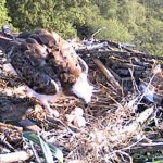 160517-bc-08h38-52-a