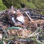 160518-bc-08h46-34-a