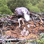 160522-bc-09h29-55-a