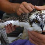 060800-f5-tom-equipe-r